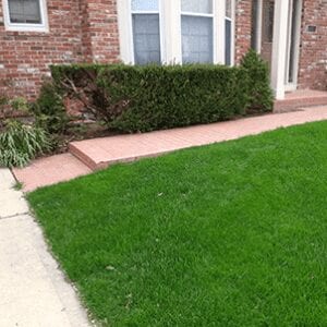 Joco Foam Concrete Repair For Homes